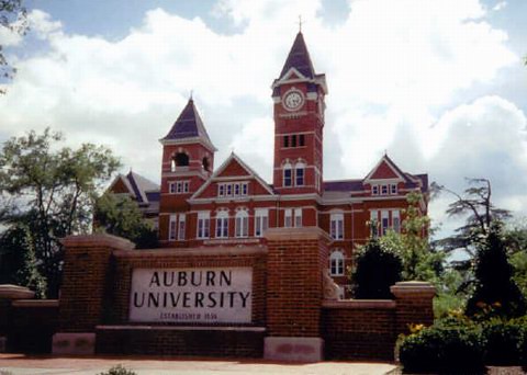 Auburn